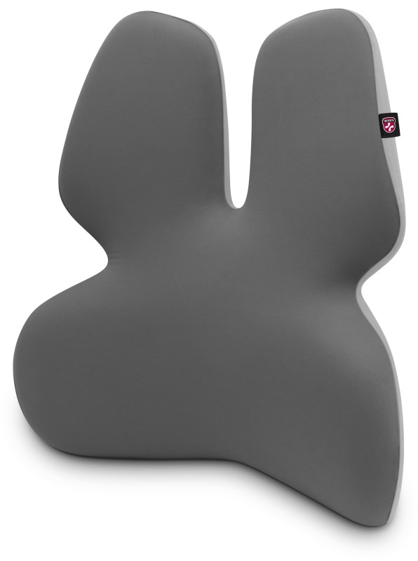 CONNECT IT Anatomická bederní opěrka na židli For Health GamaPro, Šedá