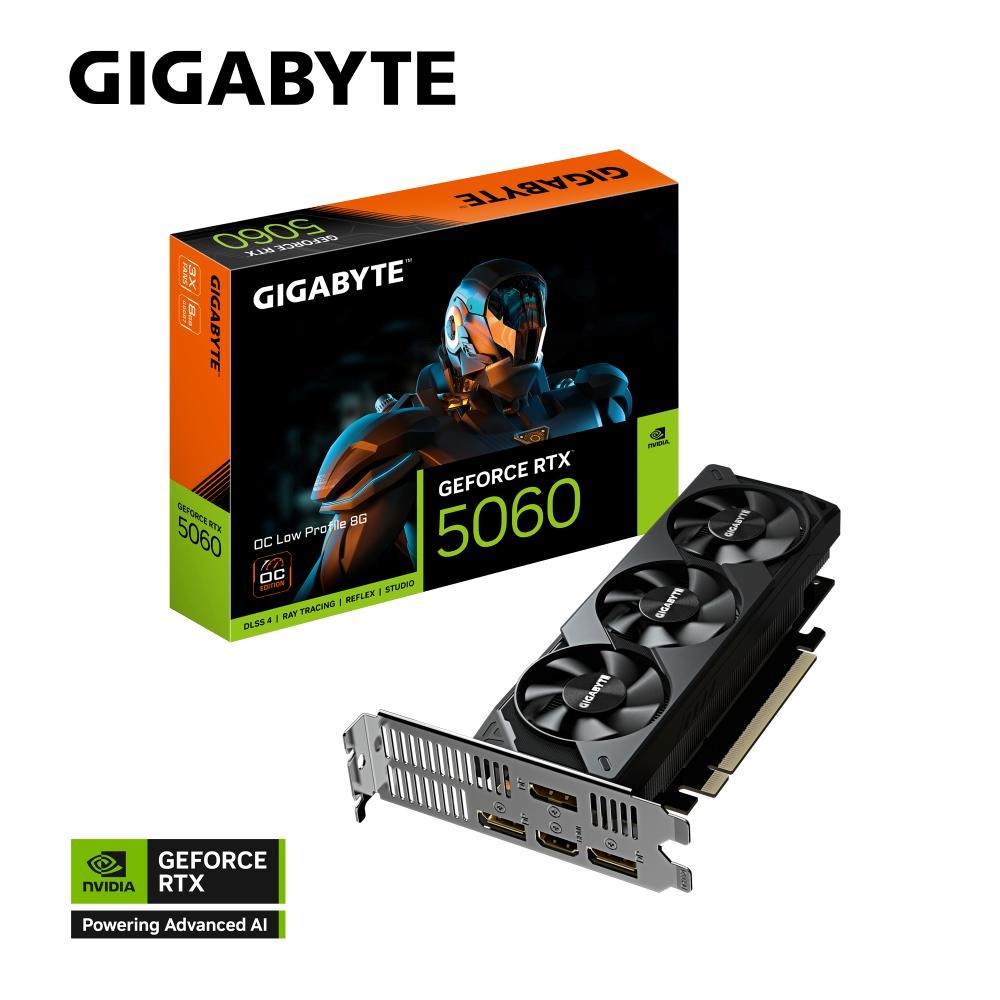 GIGABYTE VGA NVIDIA GeForce RTX 5060 Low Profile OC 8G, 8G GDDR7, 3xDP, 1xHDMI