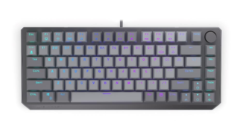 ENDORFY Herní klávesnice Thock V2 75%, Mechanická, USB, US, ARGB